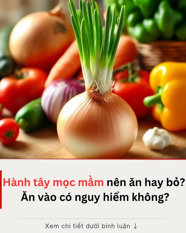 Hành tây mọc mầm nên ăn hay bỏ? Ăn vào có nguy hiểm không?