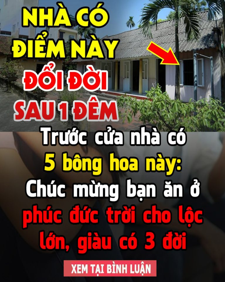 Trước cửa nhà có 5 bông hoa này: Chúc mừng bạn ăn ở phúc đức trời cho lộc lớn, giàu có 3 đời