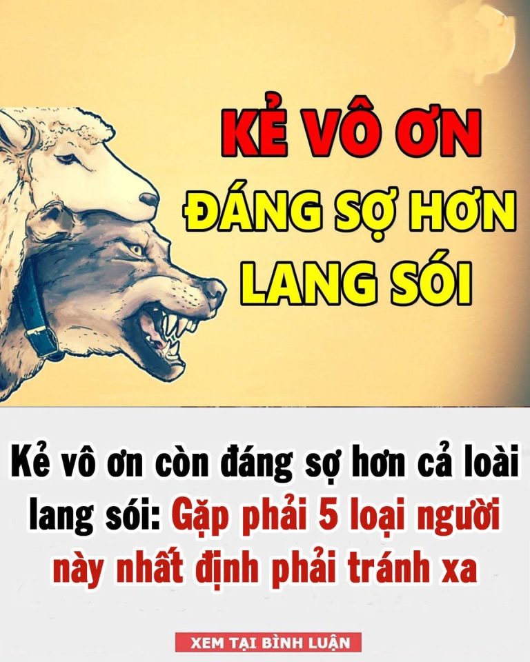 Kẻ vô ơn còn đáng sợ hơn cả loài lang sói: Gặp phải 5 loại người này xungh quanh, hãy cố gắng tránh xa