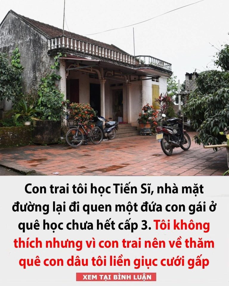 Con trai tôi học Tiến Sĩ, nhà mặt đường lại đi quen một đứa con gái ở quê học chưa hết cấp 3. Tôi không thích nhưng vì con trai nên về thăm quê con dâu tôi liền giục cưới gấp