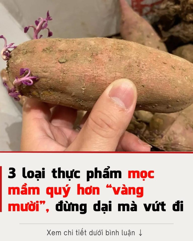 3 loại thực phẩm mọc mầm quý hơn ‘vàng mười’, đừng dại mà vứt đi