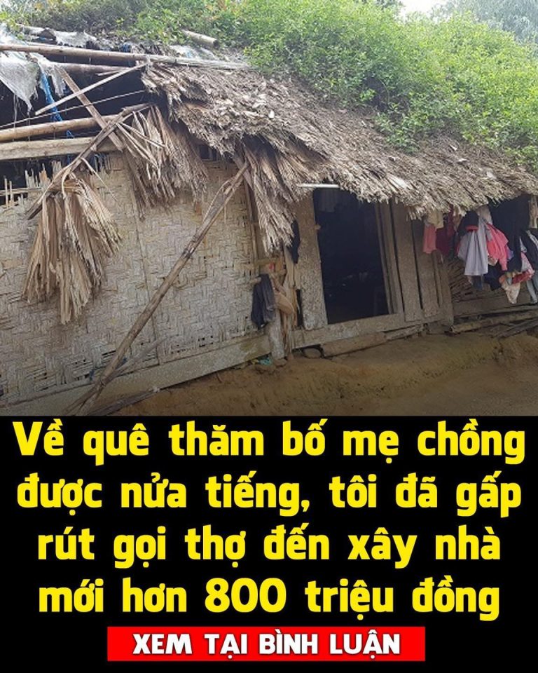 Về quê thăm bố mẹ chồng được nửa tiếng, tôi đã gấp rút gọi thợ đến xây nhà mới hơn 800 triệu đồng