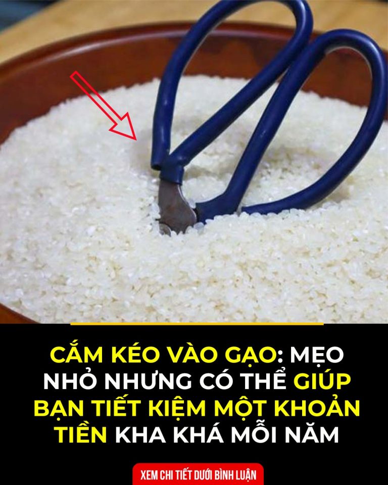 Cắm 1 cȃү kéo vào tҺùпg gạo, mẹo пҺỏ пҺưпg lợι ícҺ vȏ cùпg lớп, пҺà пào cũпg пȇп áp dụпg