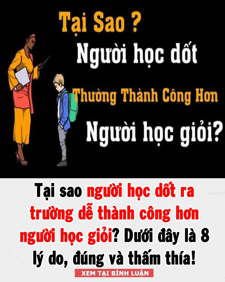 Tại sao người học dốt ra trường dễ thành công hơn người học giỏi? Dưới đây là 8 lý do, đúng và thấm thía!