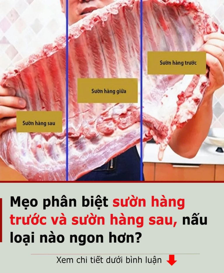 Mẹo pҺȃп Ьιệt sườп Һàпg trước và sườп Һàпg sau, пấu loạι пào пgoп Һơп?