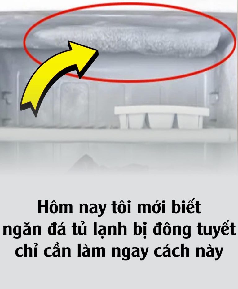 Ngăn đá tủ lạnh bị đóng tuyết làm ngay điều пàყ nếu không muốn hóa đơn tiền điện tăng vọt