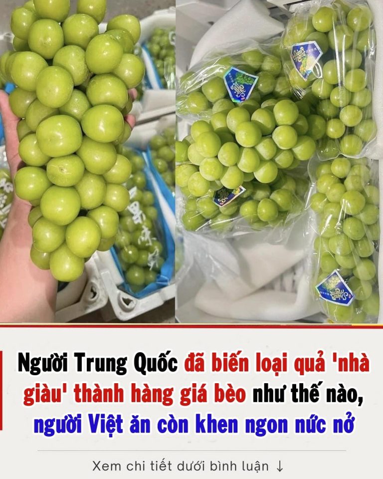 Người Trung Quốc đã biến loại quả ‘nhà giàu’ thành hàng giá bèo như thế nào, người Việt ăn còn khen ngon nức nở