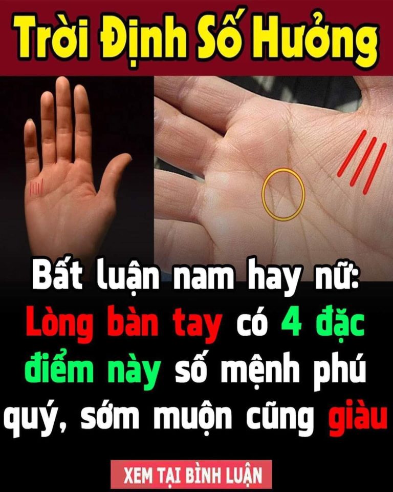 Bất luận nam hay nữ: Lòng bàn tay có 4 đặc điểm này số mệnh phú quý, sớm muộn cũng giàu