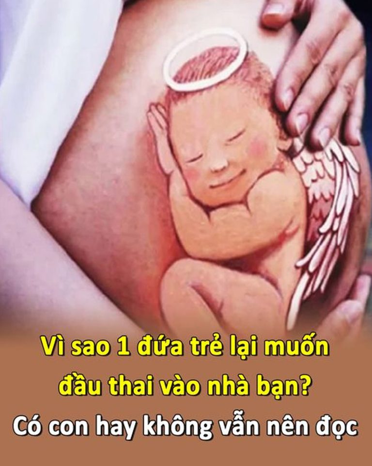 Vì sao 1 đứa trẻ lại muốn đầu thai vào nhà bạn? Dù có con hay không bạn cũng nên đọc