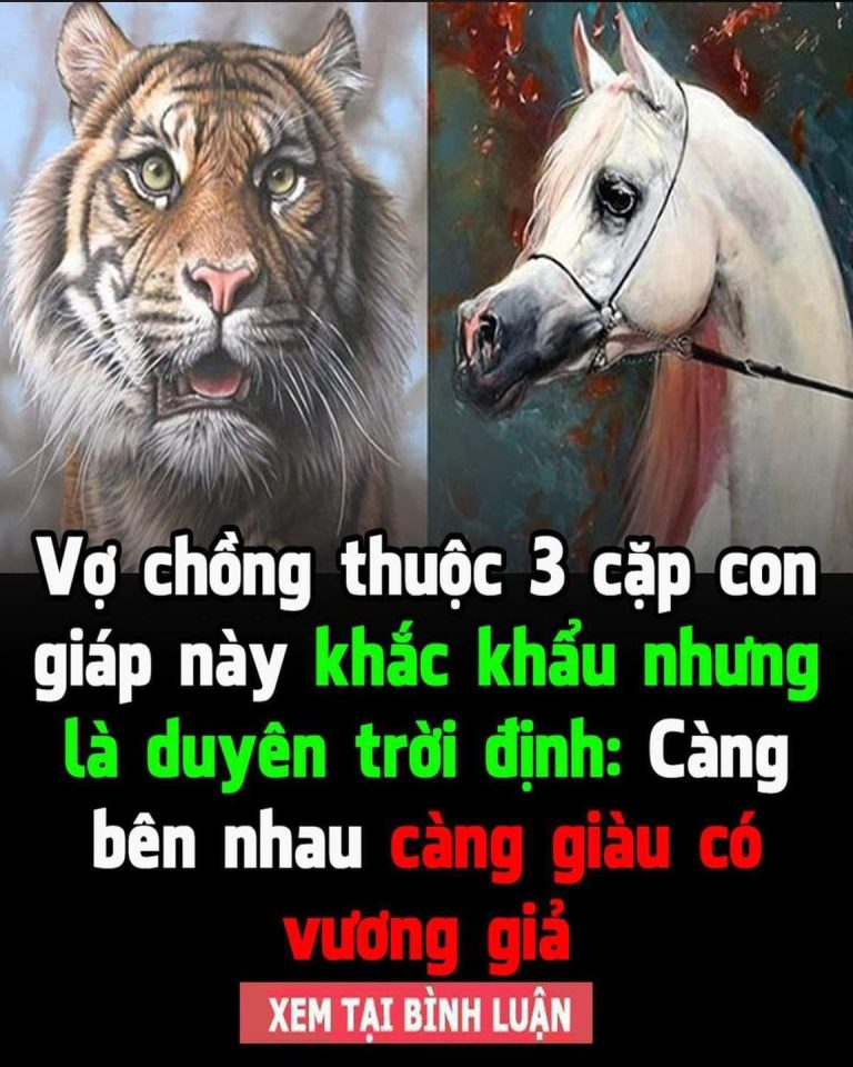 Vợ chồng thuộc 3 cặp con giáp này khắc khẩu nhưng là duyên trời định: Càng bên nhau càng giàu có vương giả