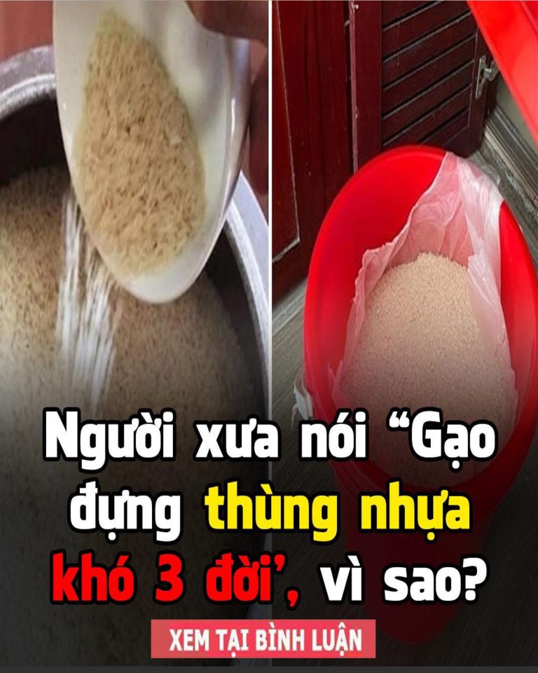 Người xưa nói “Gạo đựng thùng nhựa khó 3 đời’, vì sao?