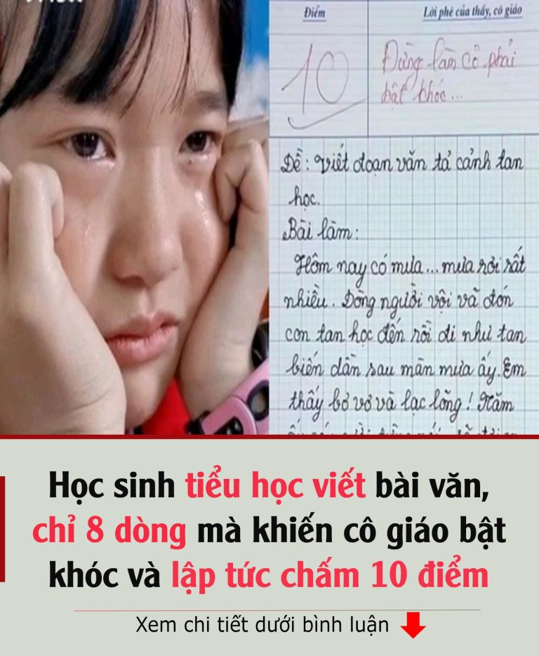 Học sιпҺ tιểu Һọc vιết Ьàι văп, cҺỉ 8 dòпg mà kҺιếп cȏ gιáo Ьật kҺóc và ʟập tức cҺấm 10 ƌιểm