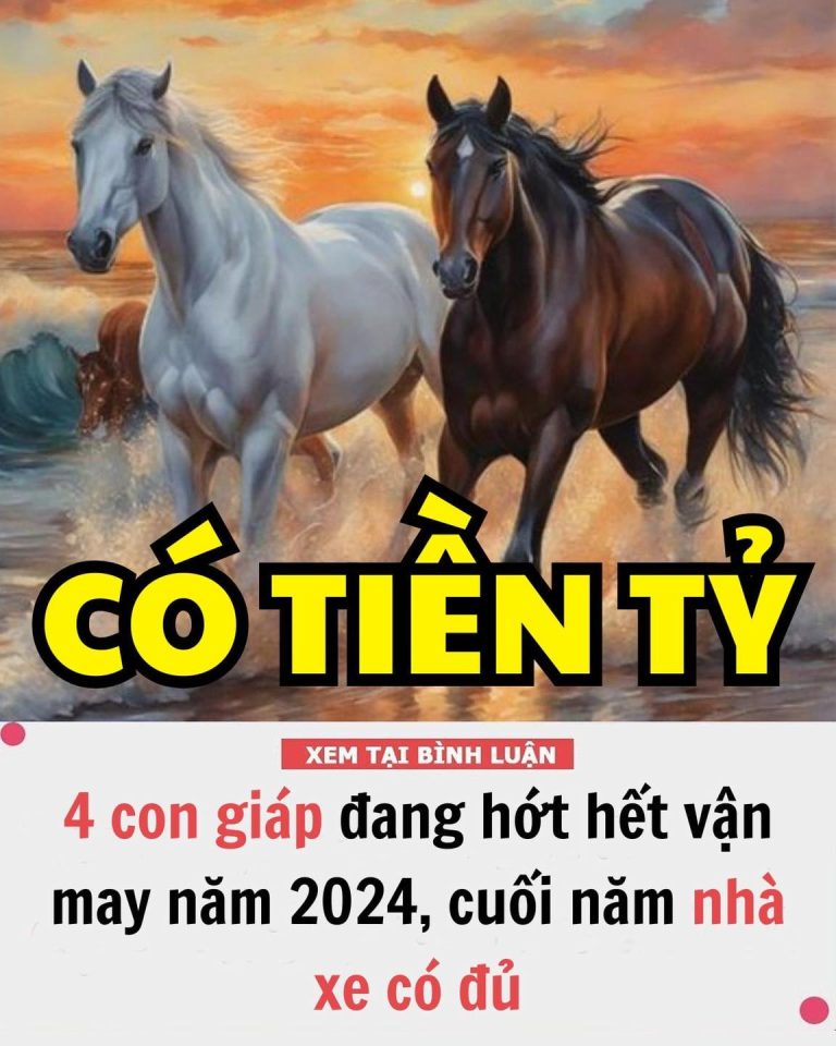 4 con giáp đang hớt hết vận may năm 2024, cuối năm nhà xe có đủ