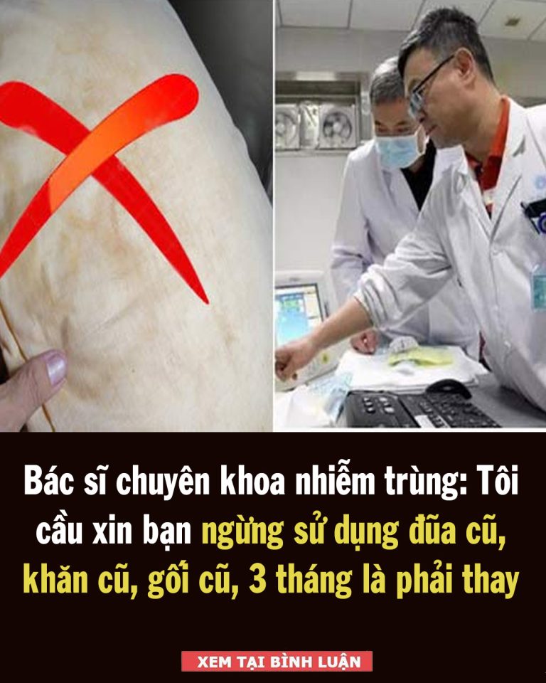 Bác sĩ chuyên khoa nhiễm trùng: Tôi cầu xin bạn ngừng sử dụng đũa cũ, khăn cũ, gối cũ, 3 tháng là phải thay