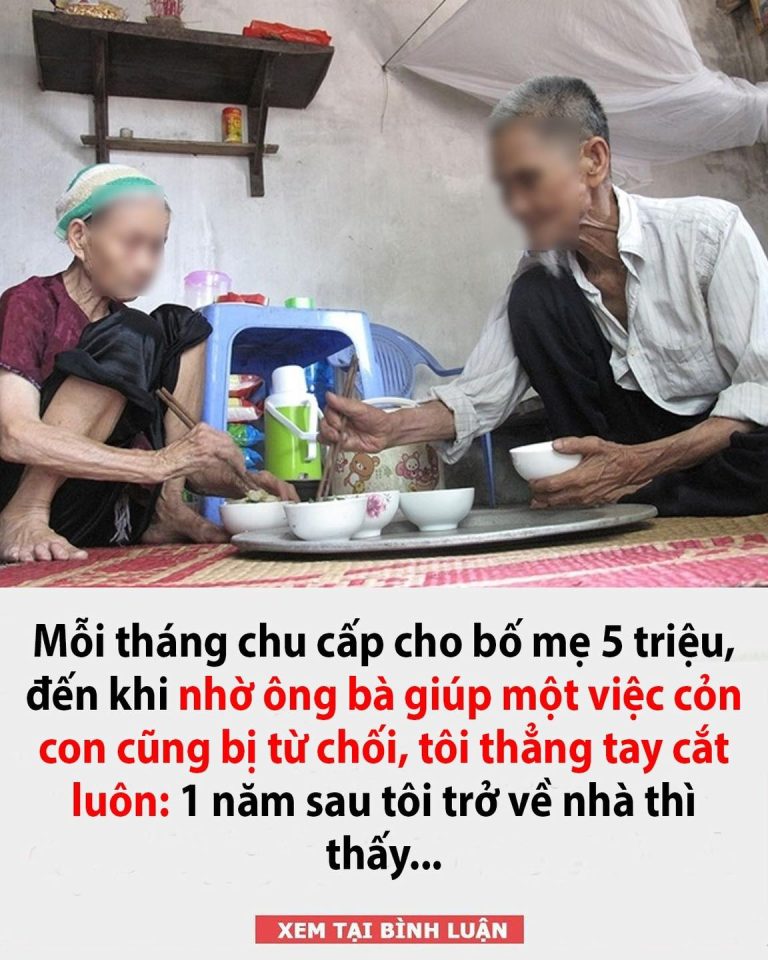 Mỗi tháng chu cấp cho bố mẹ 5 triệu, đến khi nhờ ông bà giúp một việc cỏn con cũng bị từ chối, tôi thẳng tay cắt luôn: 1 năm sau tôi trở về nhà thì thấy…