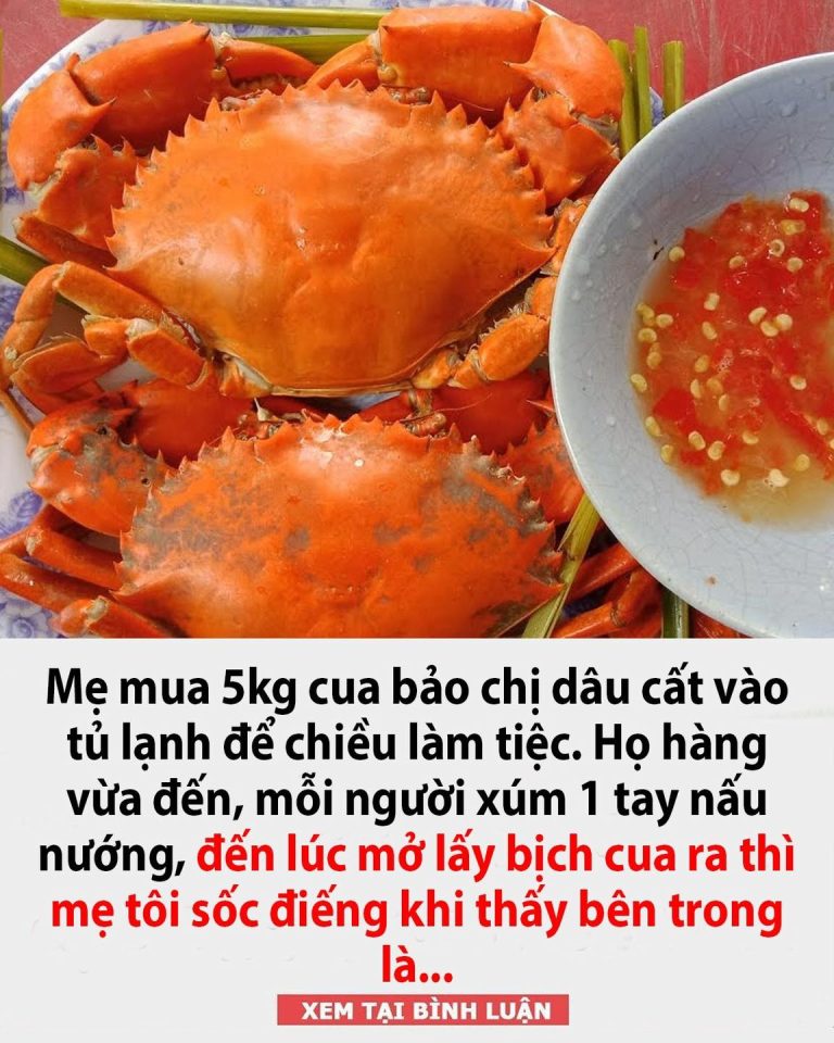 Mẹ mua 5kg cua bảo chị dâu cất vào tủ lạnh để chiều làm tiệc. Họ hàng vừa đến, mỗi người xúm 1 tay nấu nướng, đến lúc mở lấy bịch cua ra thì mẹ tôi s-ố-c đ-iếng khi thấy bên trong là…