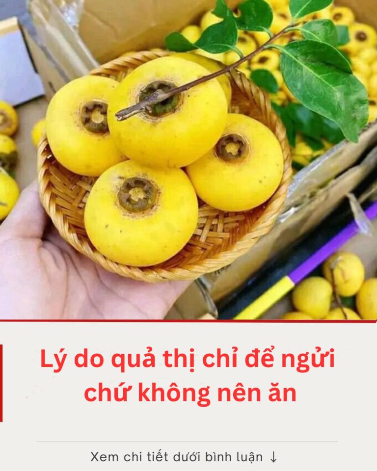 Lý do quả thị chỉ để ngửi chứ không nên ăn