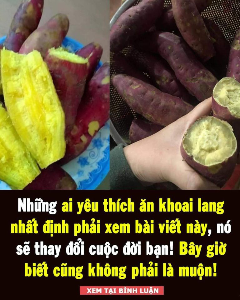 Những ai yêu thích ăn khoai lang nhất định phải xem bài viết này! Bây giờ biết cũng không phải là muộn!