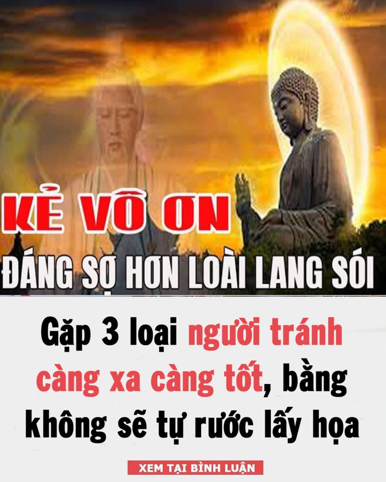 Kẻ vô ơn và 3 loại người còn đáng sợ hơn loài lang sói gấp trăm lần