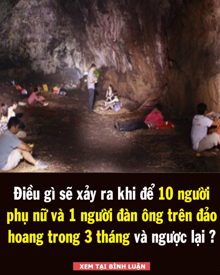 Điều gì sẽ xảy ra khi để 10 người phụ nữ và 1 người đàn ông trên đảo hoang trong 3 tháng và ngược lại ?