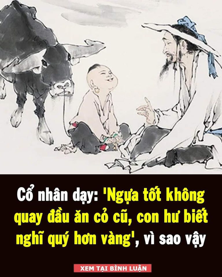 Cổ nhân dạy: ‘Ngựa tốt không quay đầu ăn cỏ cũ’, vế sau giá trị thế nào mà ai cũng phải gật gù