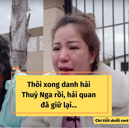 Một nữ nghệ sĩ Việt Nam bị hải quan