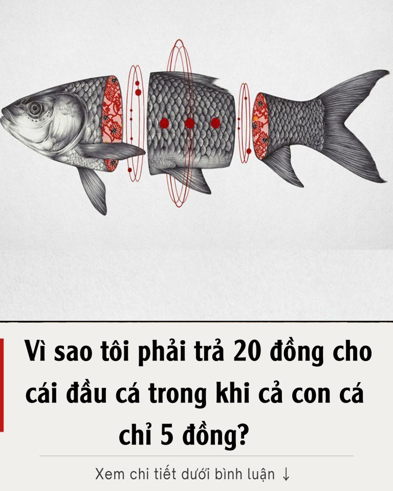 Vì sao tôi phải trả 20 đồng cho cái đầu cá trong khi cả con cá chỉ 5 đồng?