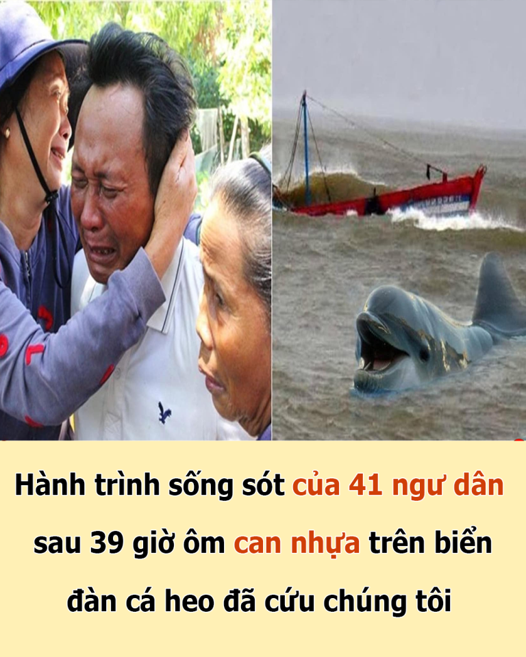 Hành trình sống sót của 41 ngư dân sau 39 giờ ôm can nhựa trên biển, đàn cá heo đã cứu chúng tôi