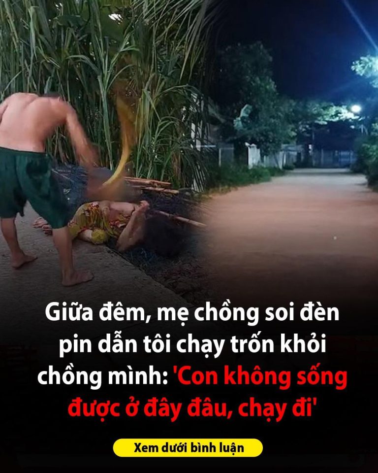 Giữa đêm, mẹ chồng soi đèn pin dẫn tôi chạy trốn khỏi chồng mình: ‘Con không sống được ở đây đâu, chạy đi’