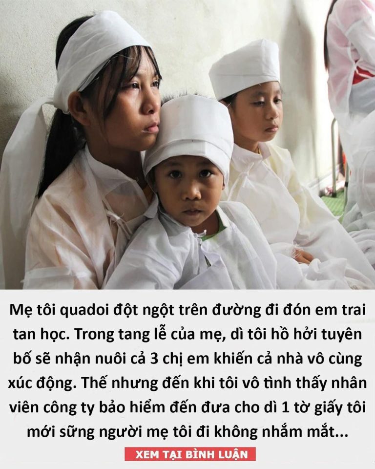 Mẹ tôi quadoi đột ngột trên đường đi đón em trai tan học. Trong tang lễ của mẹ, dì tôi hồ hởi tuyên bố sẽ nhận nuôi cả 3 chị em khiến cả nhà vô cùng xúc động. Thế nhưng đến khi tôi vô tình thấy nhân viên công ty bảo hiểm đến đưa cho dì 1 tờ giấy tôi mới sững người mẹ tôi đi không nhắm mắt