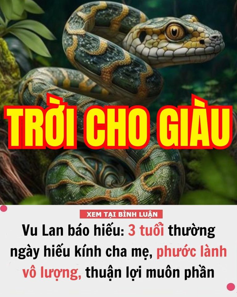 Vu Lan báo hiếu: 3 tuổi thường ngày hiếu kính cha mẹ, phước lành vô lượng, thuận lợi muôn phần