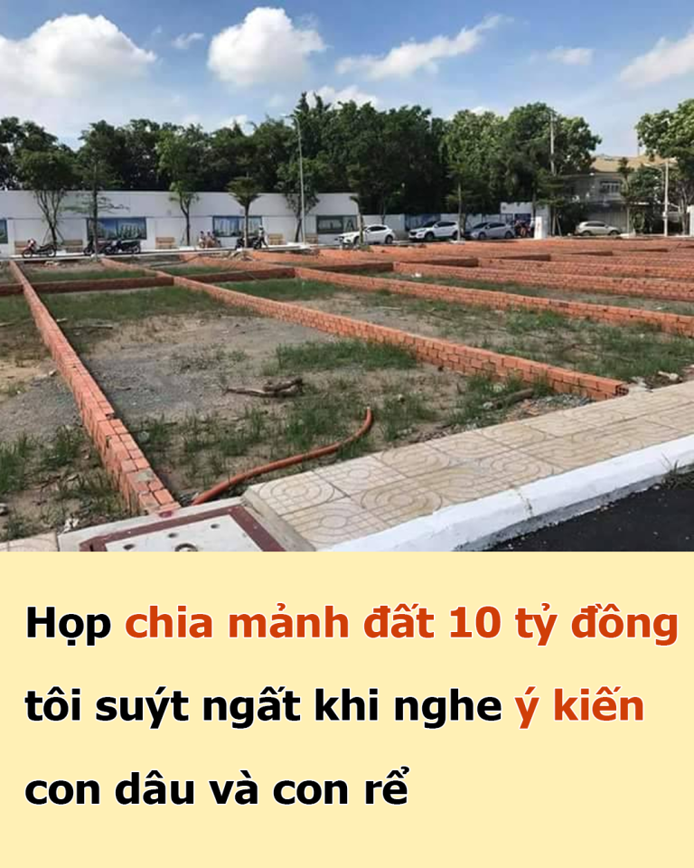 Họp chia mảnh đất 10 tỷ đồng, tôi suýt ngất khi nghe ý kiến con dâu và con rể