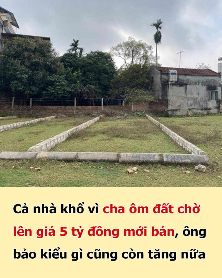 Cả nhà khổ vì cha ôm đất chờ lên giá 5 tỷ đồng mới bán, ông bảo kiểu gì cũng còn tăng nữa