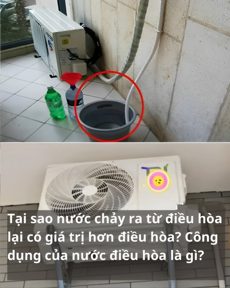 Tại sao nước chảy ra từ điều hòa lại có giá trị hơn điều hòa? Công dụng của nước điều hòa là gì?