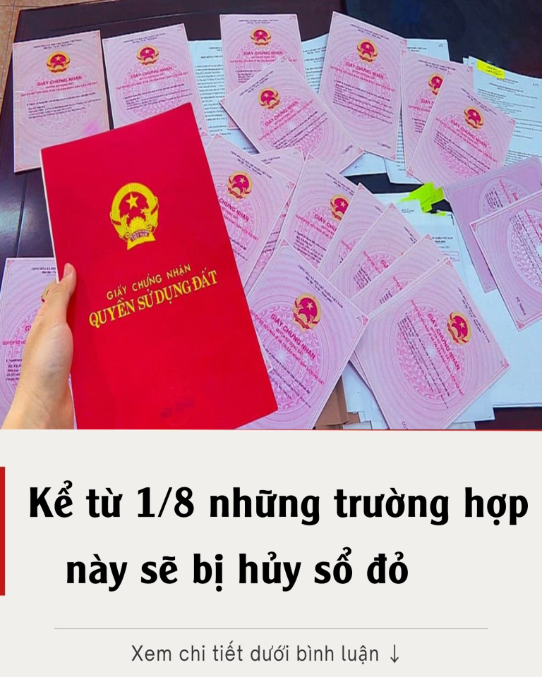 Kể từ 1/8 những trường hợp này sẽ bị hủy sổ đỏ