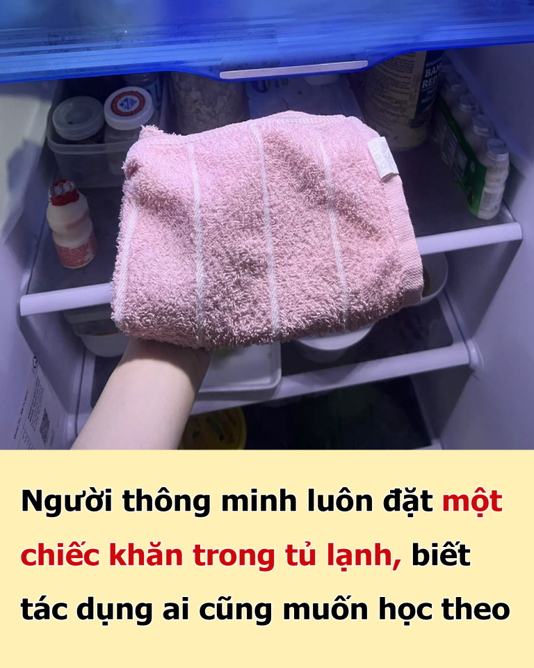 Người thông minh luôn đặt một chiếc khăn trong tủ lạnh, biết công dụng ai cũng muốn học theo