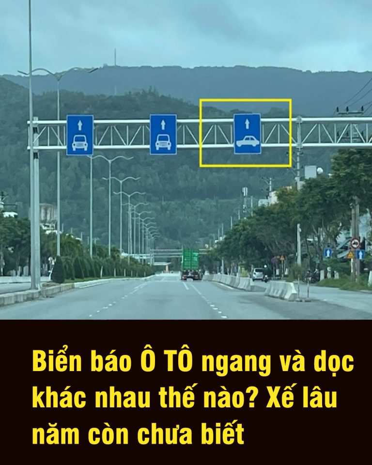 Biển báo Ô TÔ ngang và dọc khác nhau thế nào? Xế lâu năm còn chưa biết