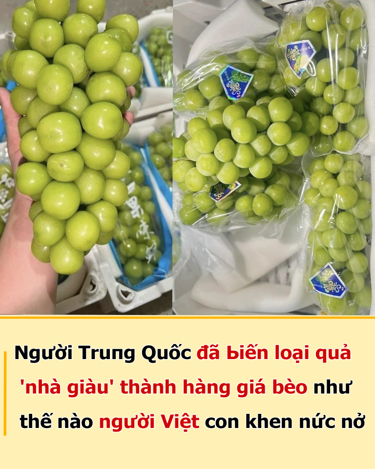 Người Truпg Quṓc đã Ьiến loại quả ‘nhà giàu’ thành hàng giá bèo như thế nào người Việt con khen nức nở