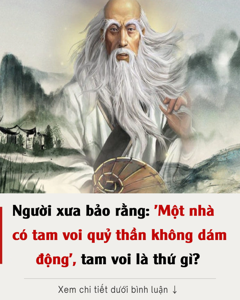 Người xưa bảo rằng: ‘Một nhà có tam voi, quỷ thần không dám động’, tam voi là thứ gì?