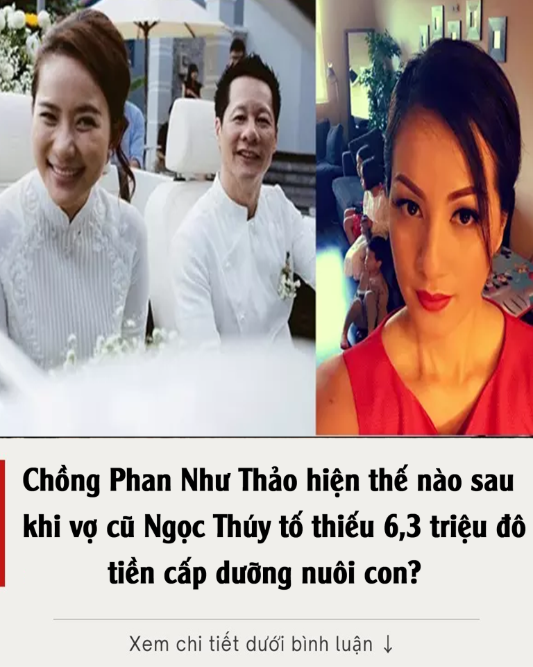 Chồng Phan Như Thảo hiện thế nào sau khi vợ cũ Ngọc Thúy tố thiếu 6,3 triệu đô tiền cấp dưỡng nuôi con?