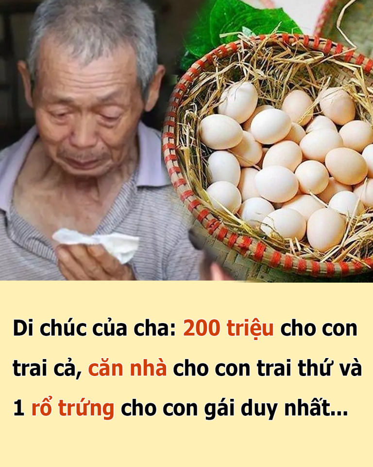 Di chúc của cha: 200 triệu cho con trai cả, căn nhà cho con trai thứ và 1 rổ trứng cho con gái duy nhất, Cô con gái không phản đối nhưng ở trong rỏ trứng