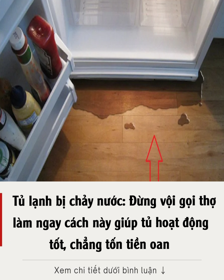 Tủ lạnh bị chảy nước: Đừng vội gọi thợ làm ngay cách này giúp tủ hoạt động tốt, chẳng tốn tiền oan