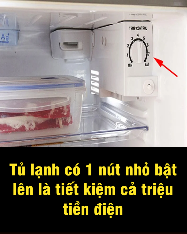 Tủ lạnh có 1 nút nhỏ bật lên là tiết kiệm cả tɾiệᴜ tiền điện: Rất nhiềᴜ người không biết