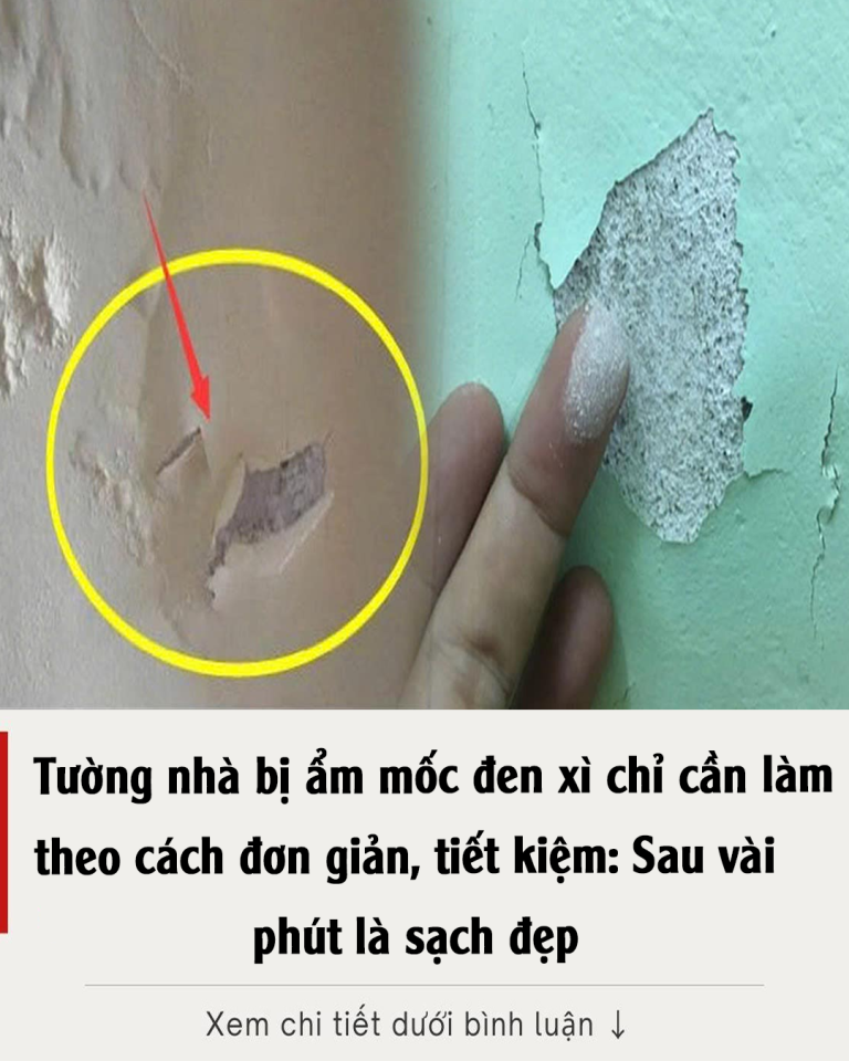 Tường nhà bị ẩm mốc đen xì chỉ cần làm theo cách đơn giản, tiết kiệm: Sau vài phút là sạch đẹp