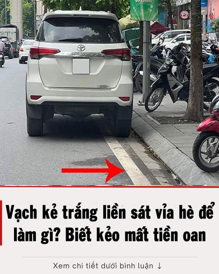 Vạch kẻ trắng liền sát vỉa hè để làm gì? Biết kẻo mất tiền oan