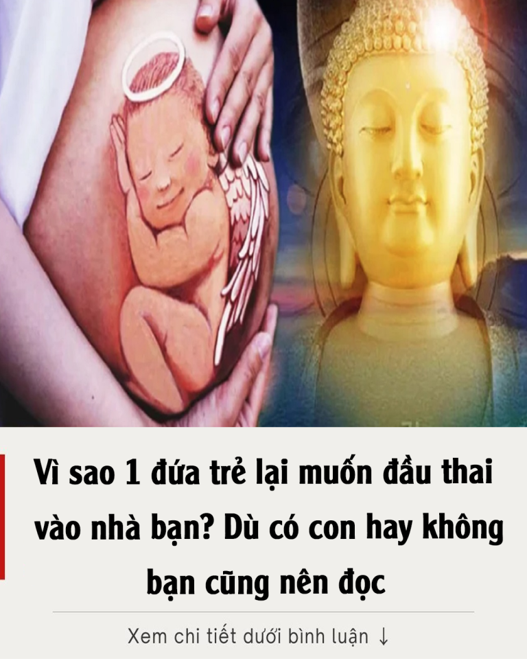 Vì sao 1 đứa trẻ lại muốn đầu thai vào nhà bạn? Dù có con hay không bạn cũng nên đọc