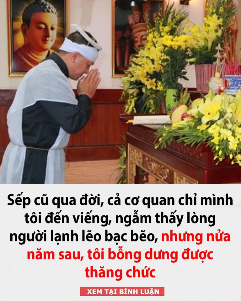 Sếp cũ qua đời, cả cơ quan chỉ mình tôi đến viếng, ngẫm thấy lòng người lạnh lẽo bạc bẽo, nhưng nửa năm sau, tôi bỗng dưng được thăng chức