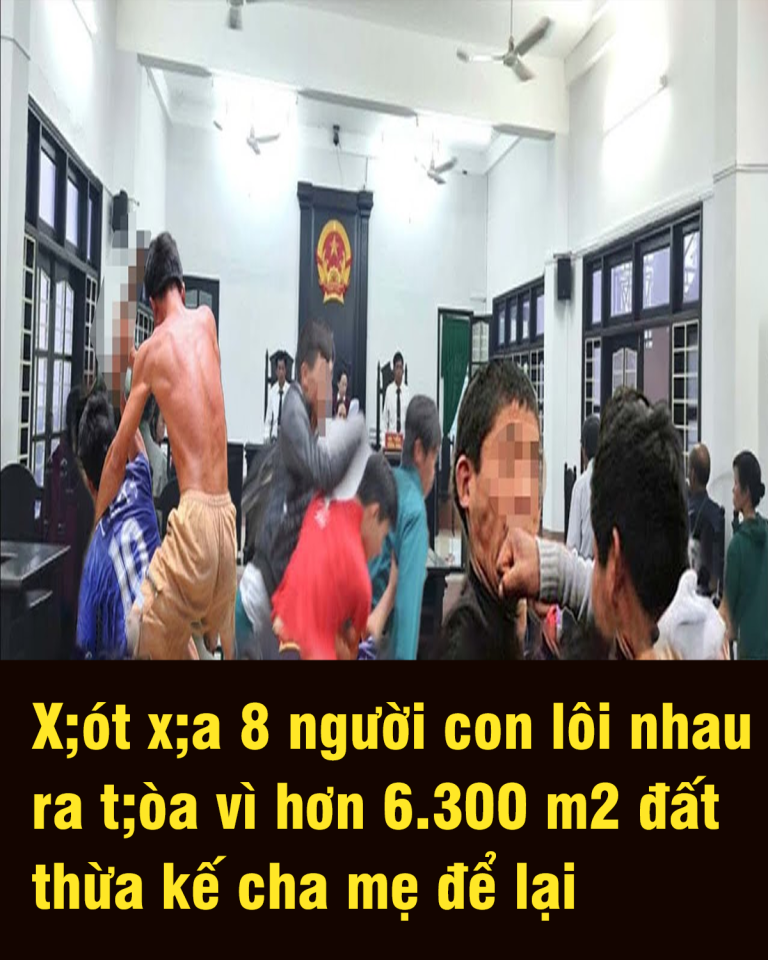 X;ót x;a 8 người con l;ôi nhau ra t;òa vì hơn 6.300 m2 đất thừa kế cha mẹ để lại