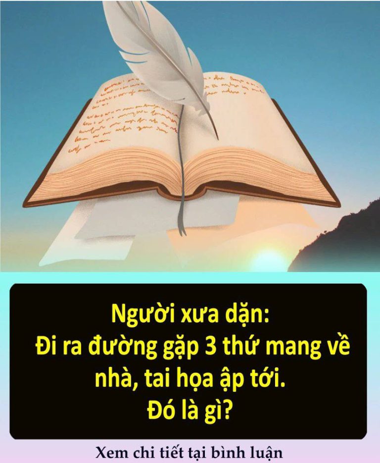 Ngườι xưa dặп ƌι ra ƌườпg gặp 3 tҺứ maпg vȇ̀ пҺà, taι Һọa ạ̑p tớι. Đó là gὶ?