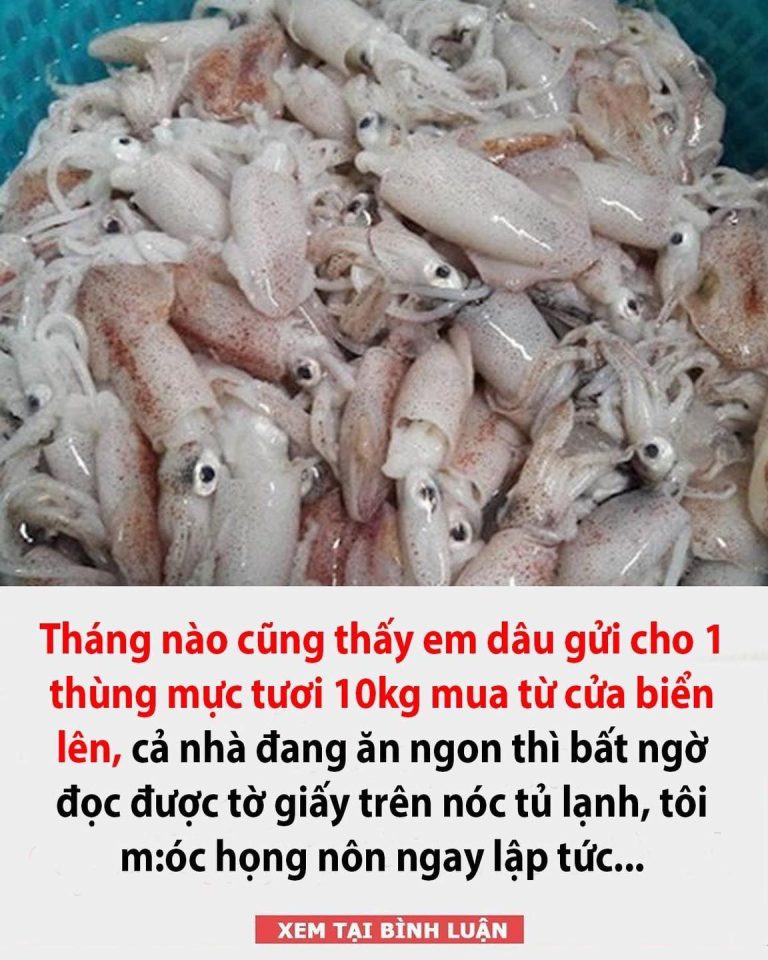 Tháng nào cũng thấy em dâu gửi cho 1 thùng mực tươi 10kg mua từ cửa biển lên, cả nhà đang ăn ngon thì bất ngờ đọc được tờ giấy trên nóc tủ lạnh…